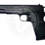 Gun store in Metro Manila, Philippines. Licensed Firearms and Ammunition dealer in the Philippines. Guns for sale.
